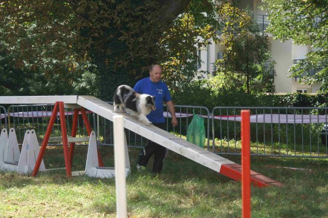 foire-haricots 2011-09-17et18